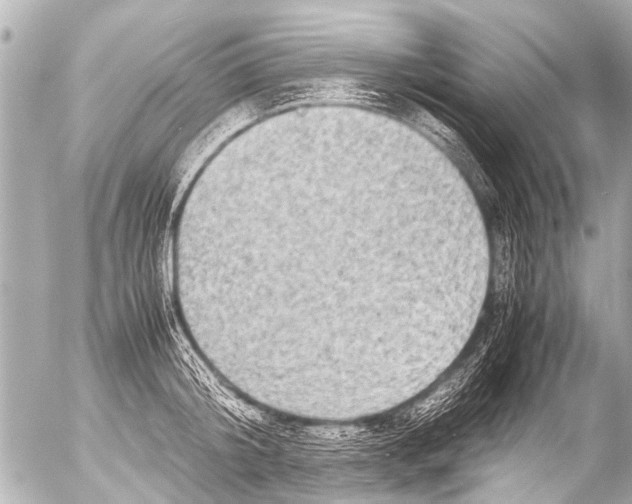 X0000054470804200508270128