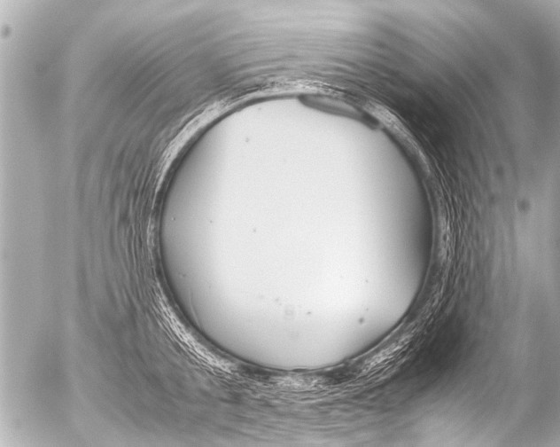 X0000054470805200508270128