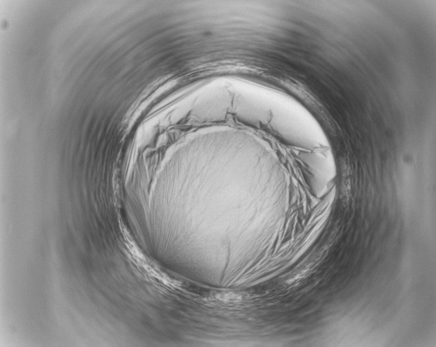 X0000054470806200508270128