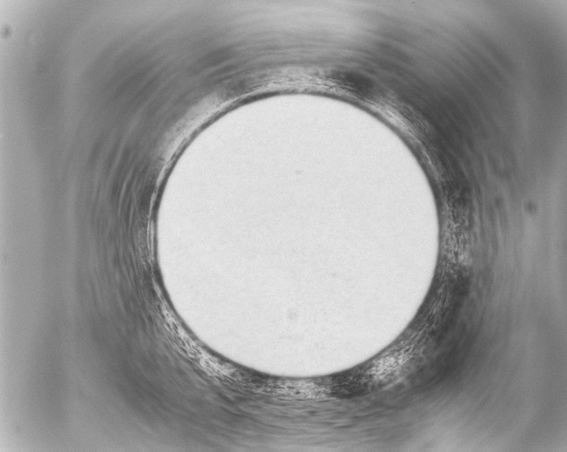 X0000054470807200508270128