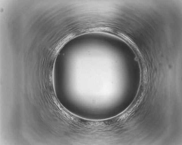 X0000054470809200508270128