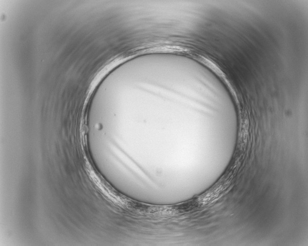 X0000054470811200508270128