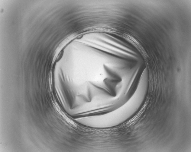 X0000054470812200508270128