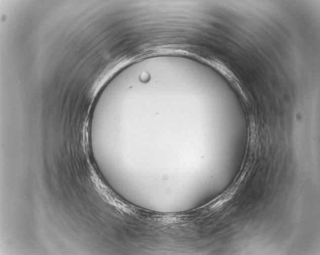 X0000054470814200508270128