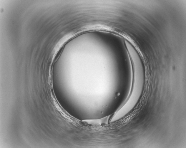 X0000054470815200508270128