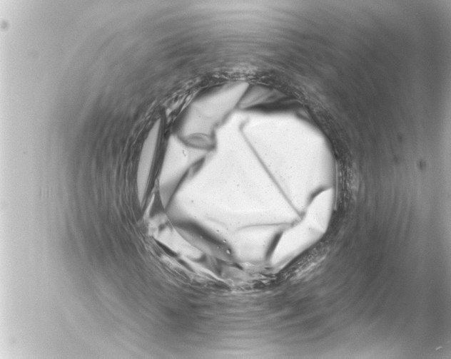 X0000054470818200508270127