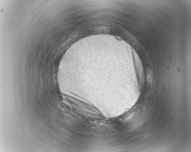 X0000054470819200508270127