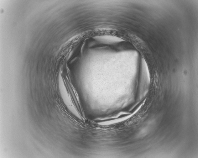 X0000054470821200508270127