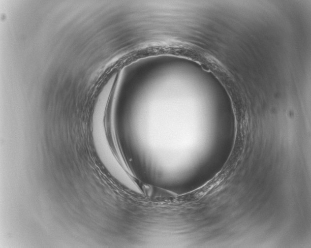 X0000054470822200508270127