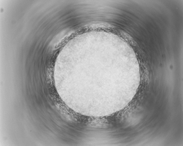 X0000054470824200508270127