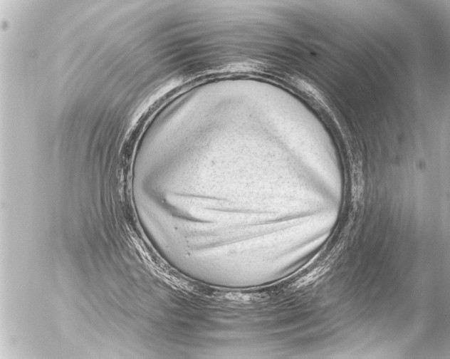 X0000054470827200508270127