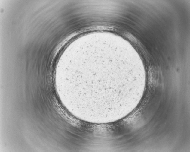 X0000054470828200508270127