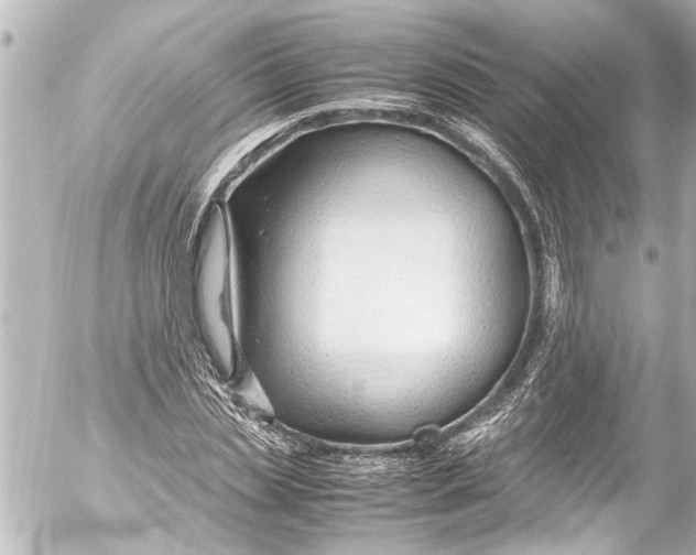 X0000054470829200508270127