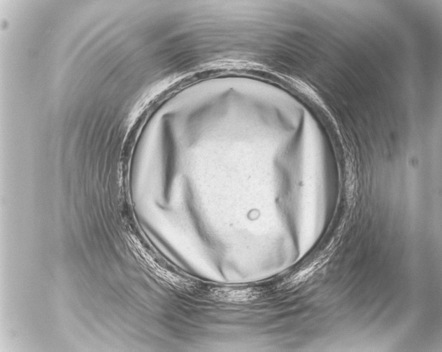 X0000054470831200508270127