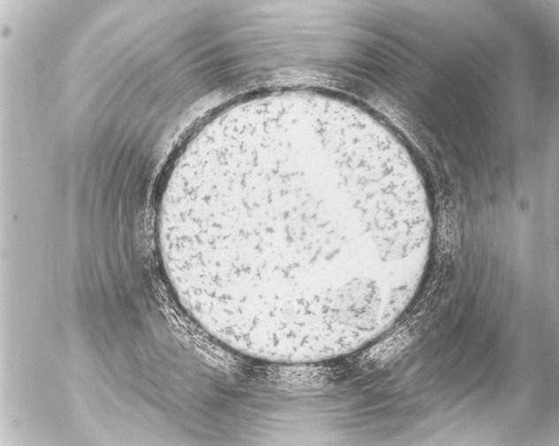 X0000054470832200508270127