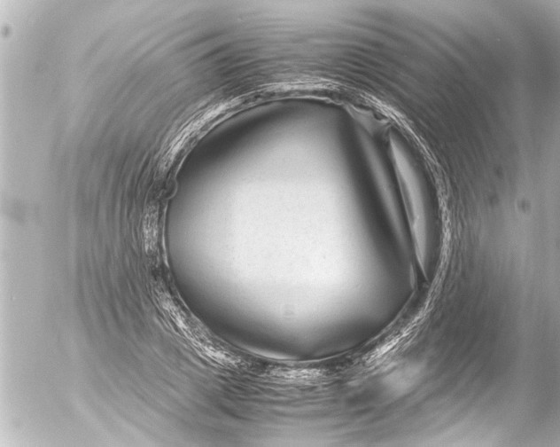 X0000054470833200508270127