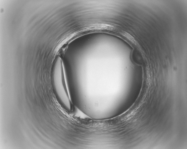 X0000054470834200508270127