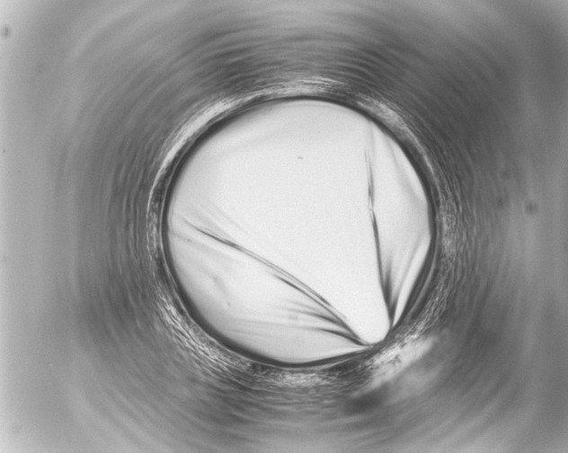 X0000054470835200508270127