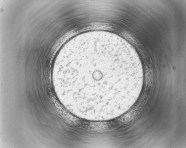 X0000054470836200508270127