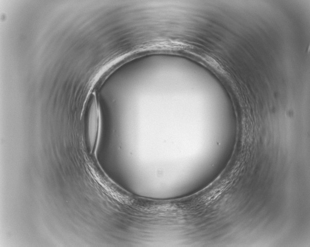 X0000054470838200508270127