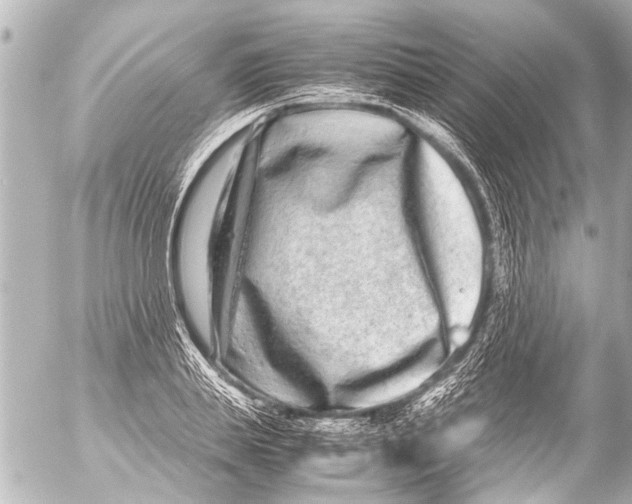 X0000054470839200508270127