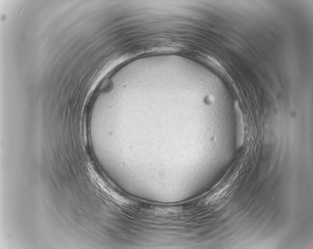 X0000054470843200508270127