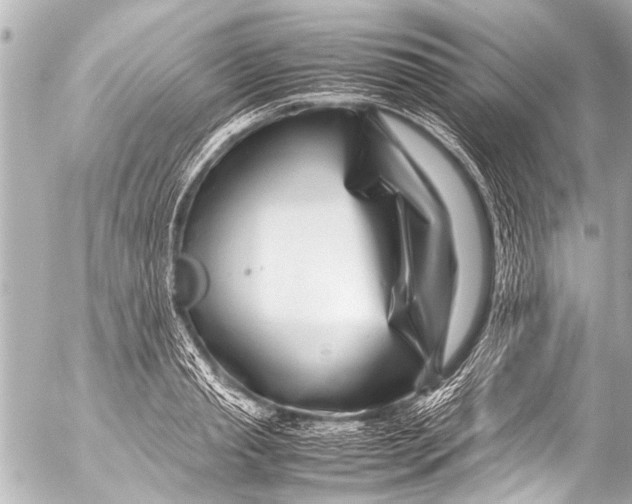 X0000054470845200508270127