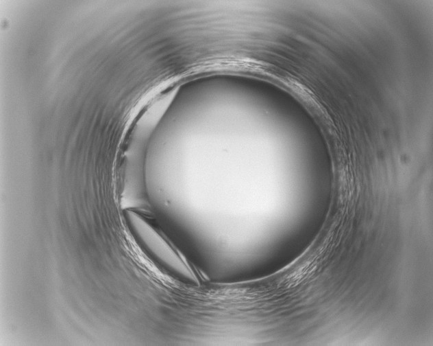 X0000054470846200508270127