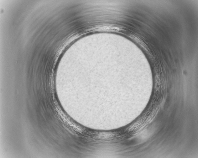 X0000054470848200508270127