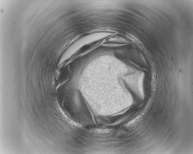 X0000054470849200508270127