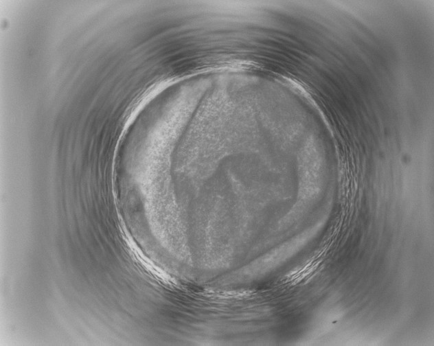 X0000054470851200508270127