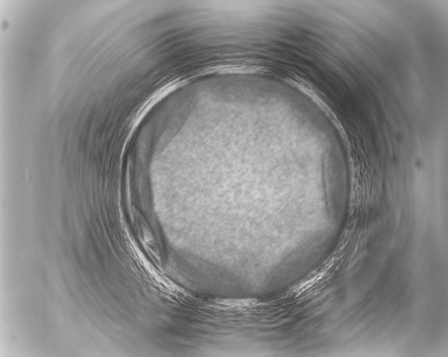 X0000054470853200508270127