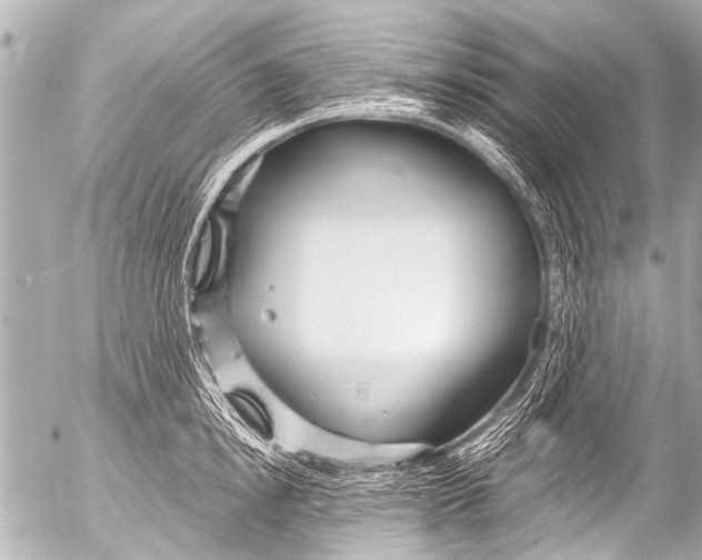 X0000054470854200508270127