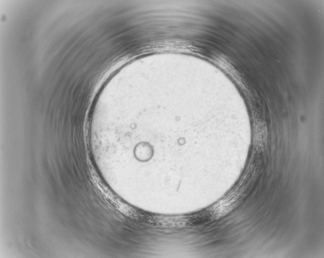 X0000054470856200508270127