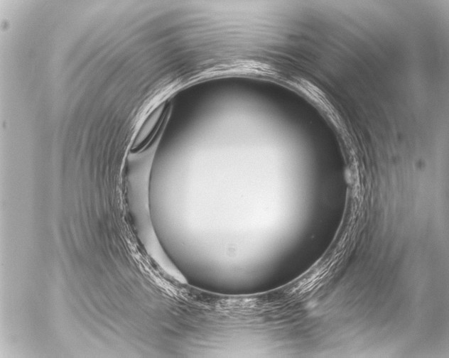 X0000054470858200508270128