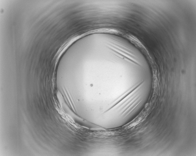 X0000054470860200508270128