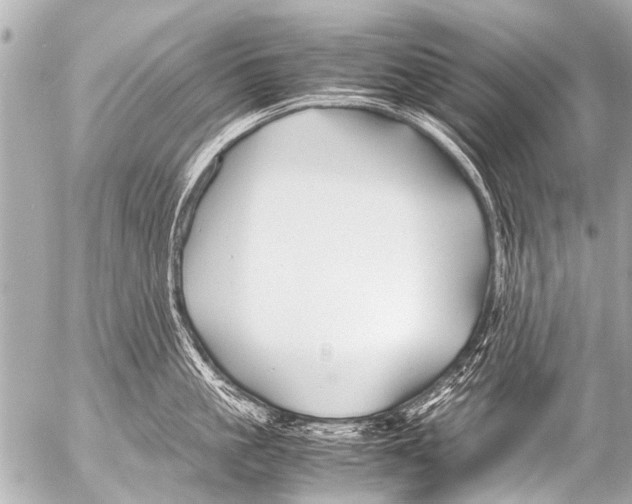 X0000054470861200508270128