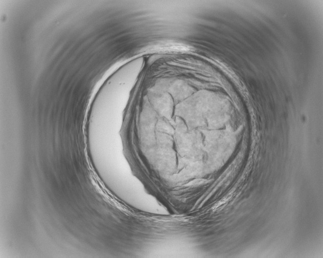 X0000054470864200508270128