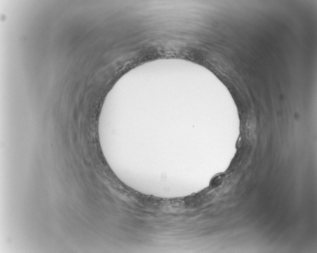 X0000054470865200508270127