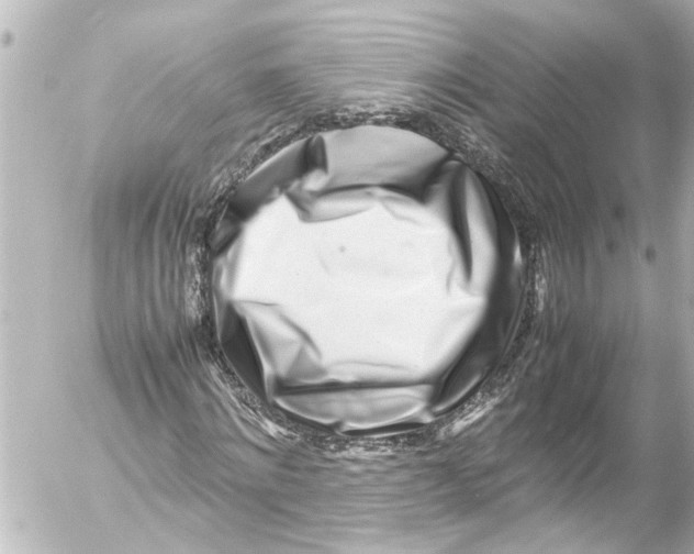 X0000054470868200508270127