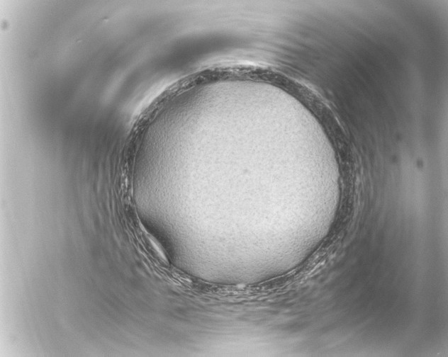 X0000054470871200508270127