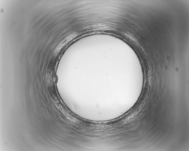 X0000054470873200508270127