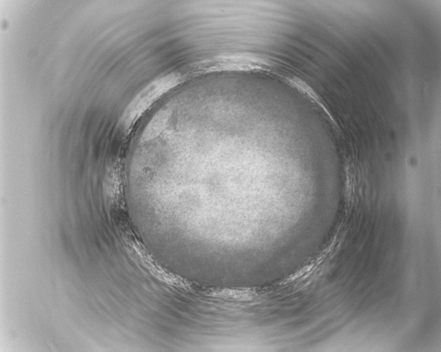 X0000054470874200508270127