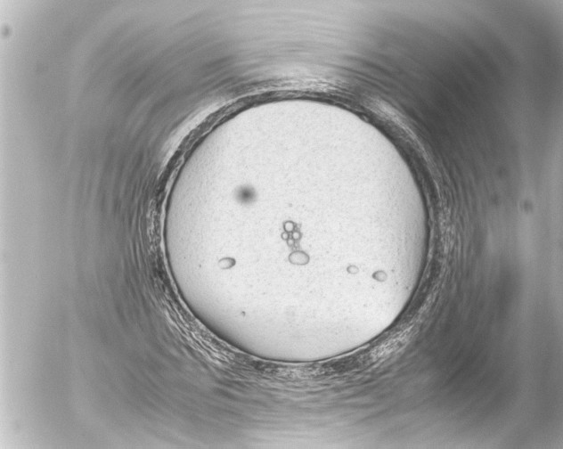 X0000054470875200508270127