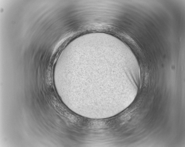 X0000054470878200508270127