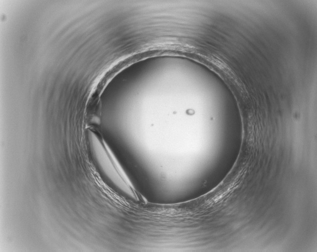 X0000054470880200508270127