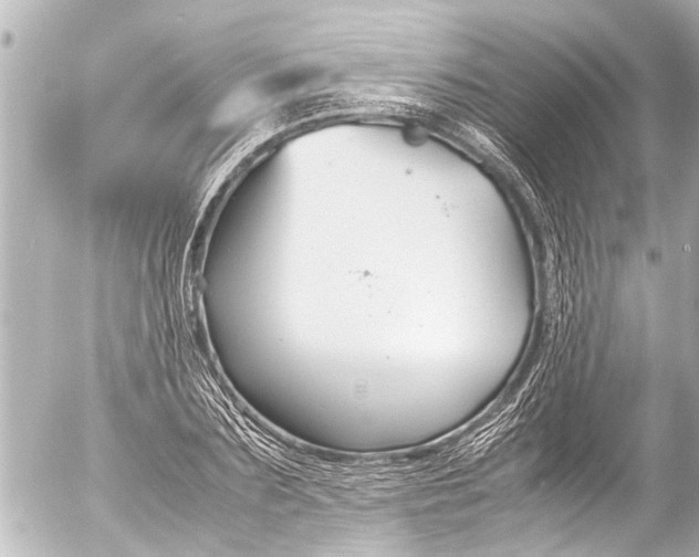 X0000054470883200508270127