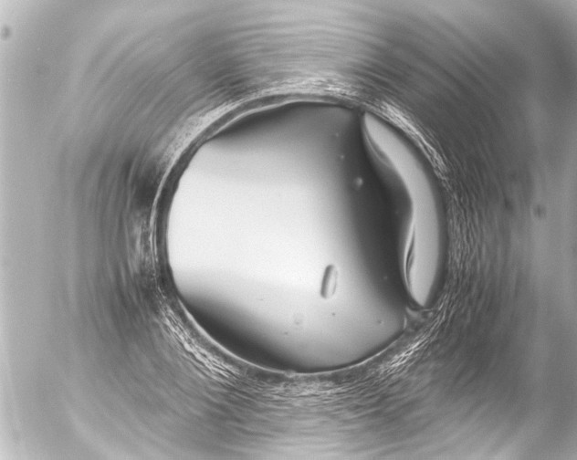 X0000054470884200508270127