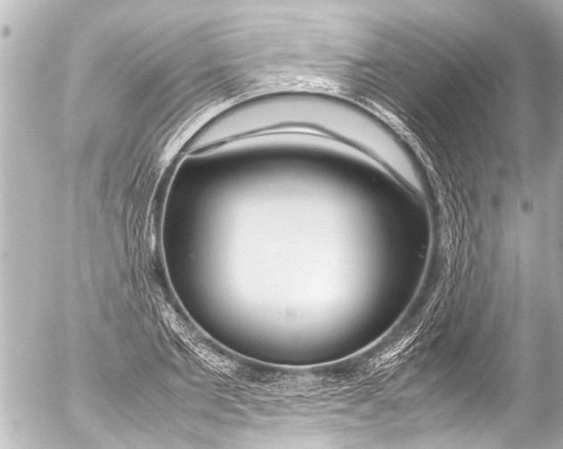 X0000054470885200508270127