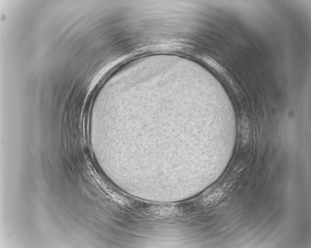 X0000054470886200508270126